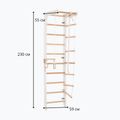 RINAGYM gymnastic ladder SPR B white 6