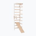 RINAGYM SPR B+SLIDE gymnastic ladder 3