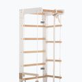 RINAGYM SPR B+SLIDE gymnastic ladder 4