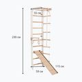 RINAGYM SPR B+SLIDE gymnastic ladder 5