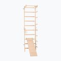 RINAGYM SPR B+SLIDE gymnastic ladder 2