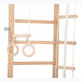 RINAGYM SPR B+SLIDE gymnastic ladder 4