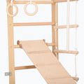 RINAGYM SPR B+SLIDE gymnastic ladder 5