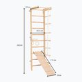 RINAGYM SPR B+SLIDE gymnastic ladder 6