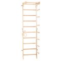 RINAGYM gymnastic ladder SPR B 2
