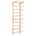 RINAGYM gymnastic ladder SPR B 3