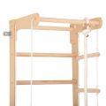 RINAGYM gymnastic ladder SPR B 4