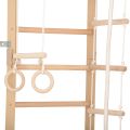 RINAGYM gymnastic ladder SPR B 5