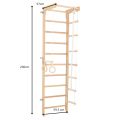 RINAGYM gymnastic ladder SPR B 6