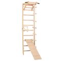 RINAGYM SPR A+SLIDE gymnastic ladder