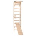 RINAGYM SPR A+SLIDE gymnastic ladder 2