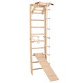 RINAGYM SPR A+SLIDE gymnastic ladder 3