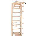 RINAGYM SPR A+SLIDE gymnastic ladder 4