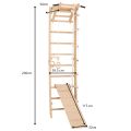 RINAGYM SPR A+SLIDE gymnastic ladder 6