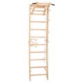 RINAGYM SPR A gymnastic ladder 2