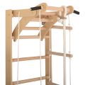 RINAGYM SPR A gymnastic ladder 4