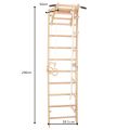 RINAGYM SPR A gymnastic ladder 6