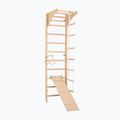 Gymnastic ladder RINAGYM SPR C+SLIDE 2