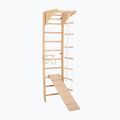 Gymnastic ladder RINAGYM SPR C+SLIDE 3