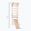Gymnastic ladder RINAGYM SPR C+SLIDE 6