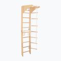RINAGYM gymnastic ladder SPR C
