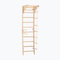 RINAGYM gymnastic ladder SPR C 2