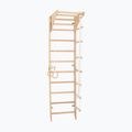 RINAGYM gymnastic ladder SPR C 3