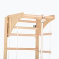RINAGYM gymnastic ladder SPR C 4