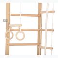 RINAGYM gymnastic ladder SPR C 5