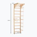 RINAGYM gymnastic ladder SPR C 7