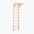 RINAGYM SPR C Pure gymnastic ladder