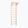 RINAGYM SPR C Pure gymnastic ladder 2