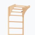 RINAGYM SPR C Pure gymnastic ladder 4