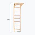 RINAGYM SPR C Pure gymnastic ladder 5