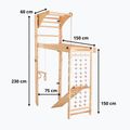 RINAGYM Transformer gymnastics ladder 5