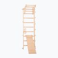 RINAGYM ECO-PINE+SLIDE gymnastic ladder 2
