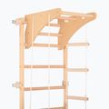 RINAGYM Kinder 2 gymnastic ladder 7