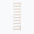 Gymnastics ladder RINAGYM SPR H white