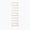 Gymnastics ladder RINAGYM SPR H white 2