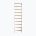 Gymnastics ladder RINAGYM SPR H white 3