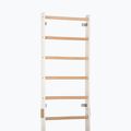 Gymnastics ladder RINAGYM SPR H white 4