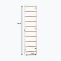 Gymnastics ladder RINAGYM SPR H white 5