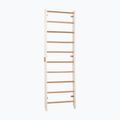 Gymnastics ladder RINAGYM Kombi 1 white