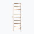 Gymnastics ladder RINAGYM Kombi 1 white 2