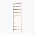 Gymnastics ladder RINAGYM Kombi 1 white 3