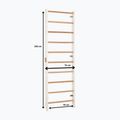 Gymnastics ladder RINAGYM Kombi 1 white 5