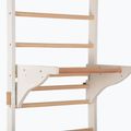 Training ladder RINAGYM Pro Pure pure white 5