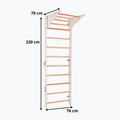 Training ladder RINAGYM Pro Pure pure white 6