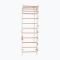 Gymnastics ladder RINAGYM Pro 2 white