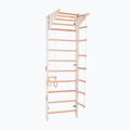 Gymnastics ladder RINAGYM Pro 2 white 3